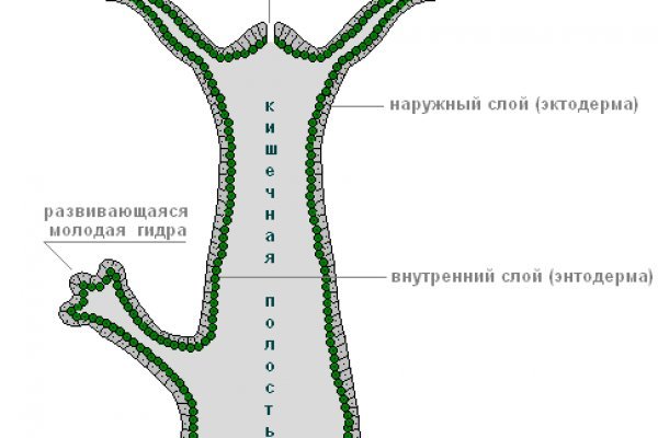 Kraken что это за сайт