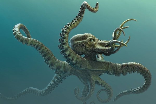 Kraken ссылка tor официальный сайт