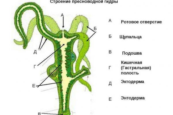 Кракен магазин krakens13 at