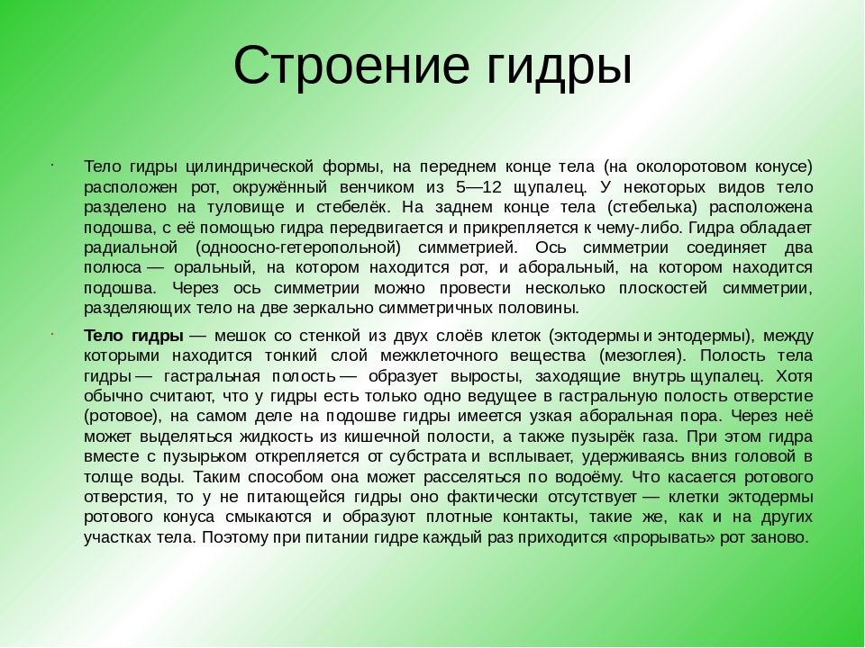 Кракен онион тор